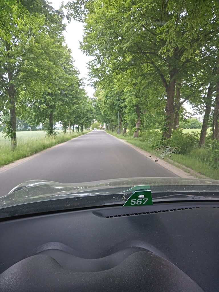 Straße mit Bäumen, Foto aus dem Auto