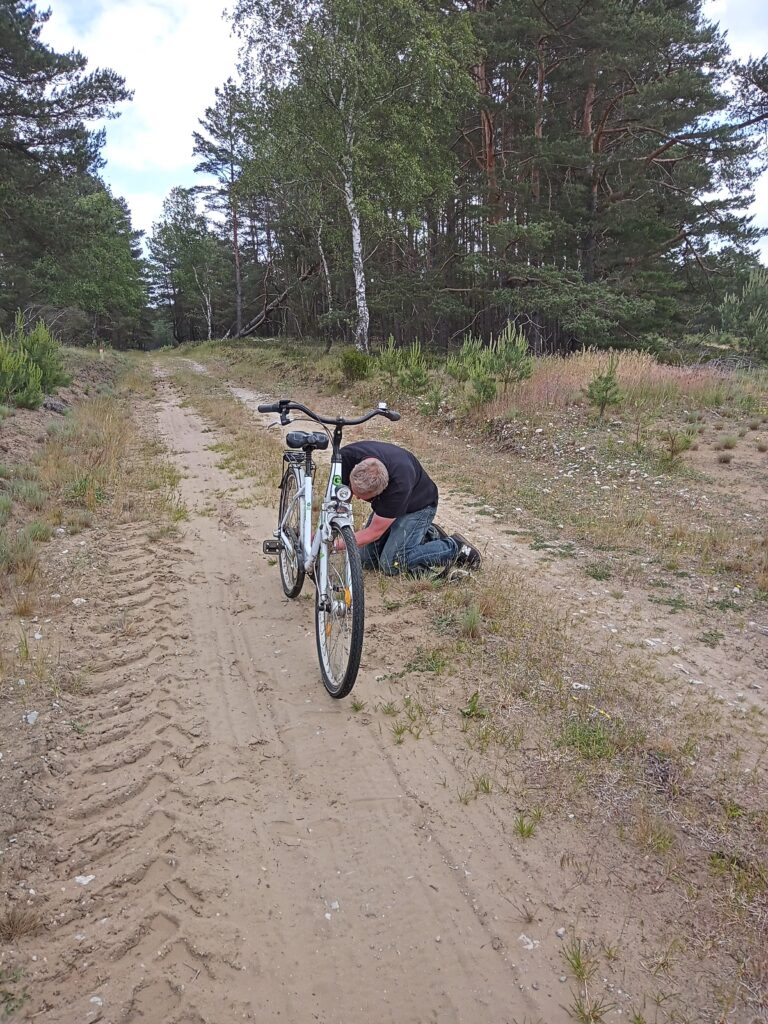 Mann repariert Fahrrad auf sandigem Weg