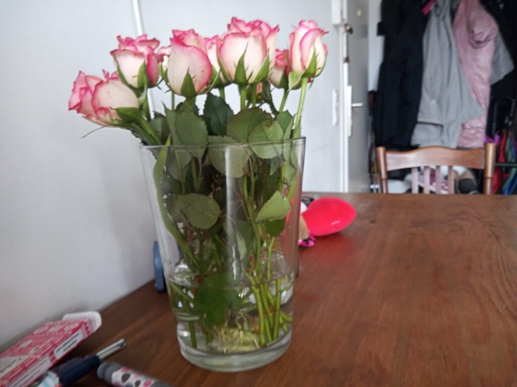 Vase mit Rosen